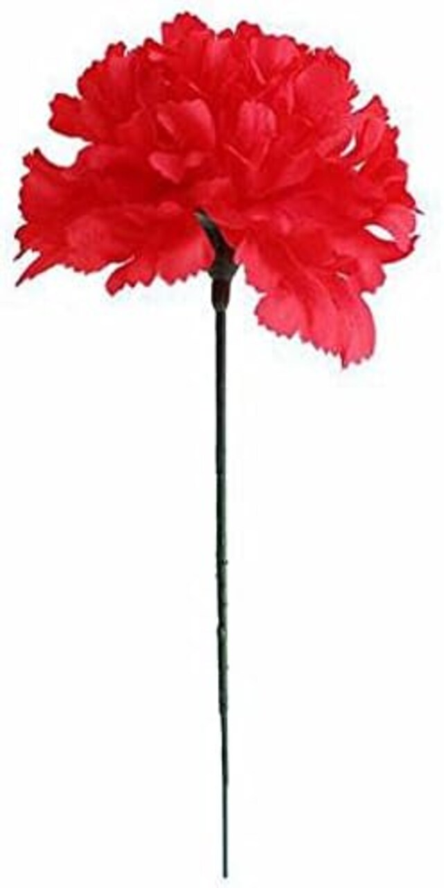 Set of 100: Red Carnation Flower Picks, 5 Long, 3.5 Wide, Floral Picks, Crafting Supplies, Parties & Events, Home & Office Decor
